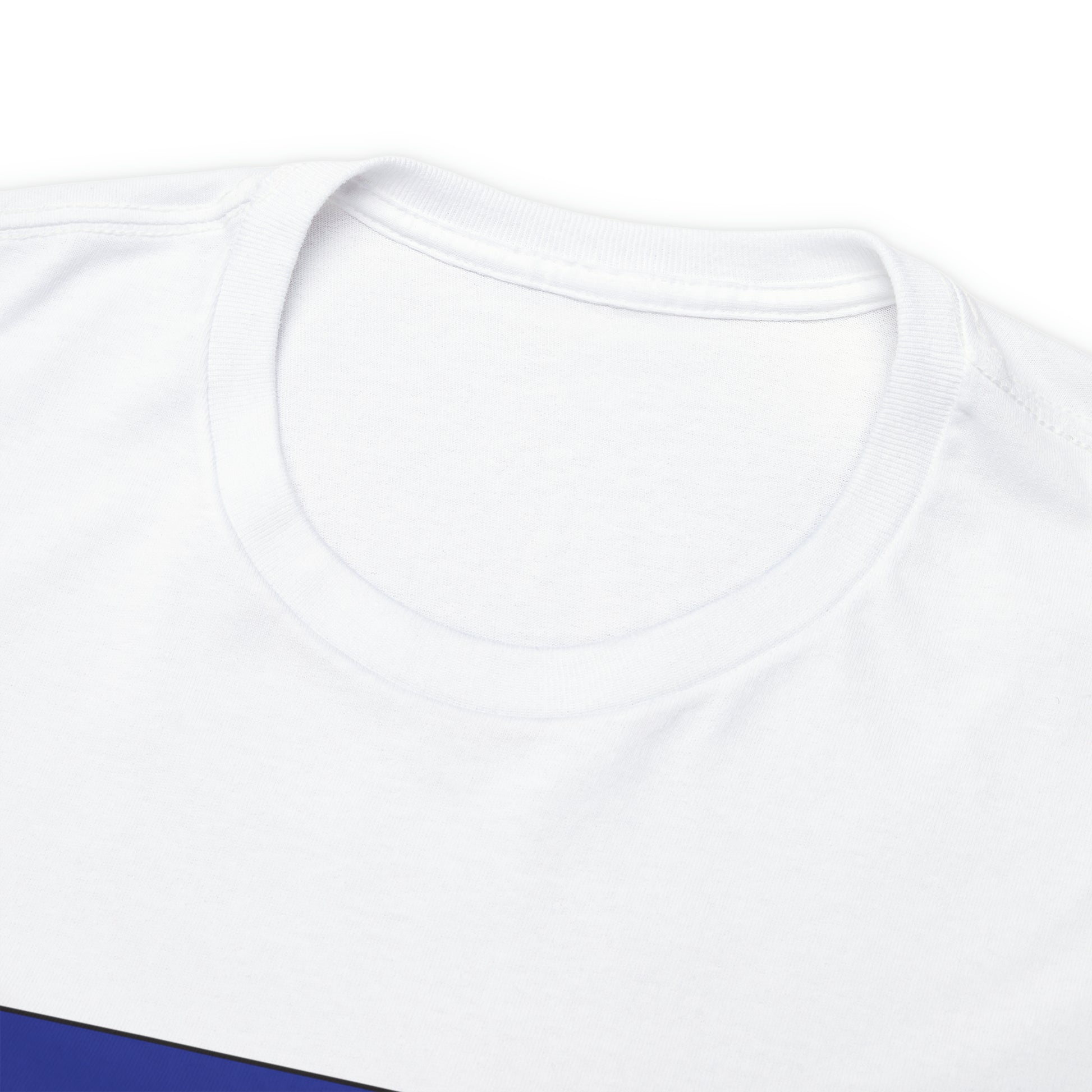 1 FC Magdeburg (1980's logo) Unisex Heavy Cotton T-shirt
